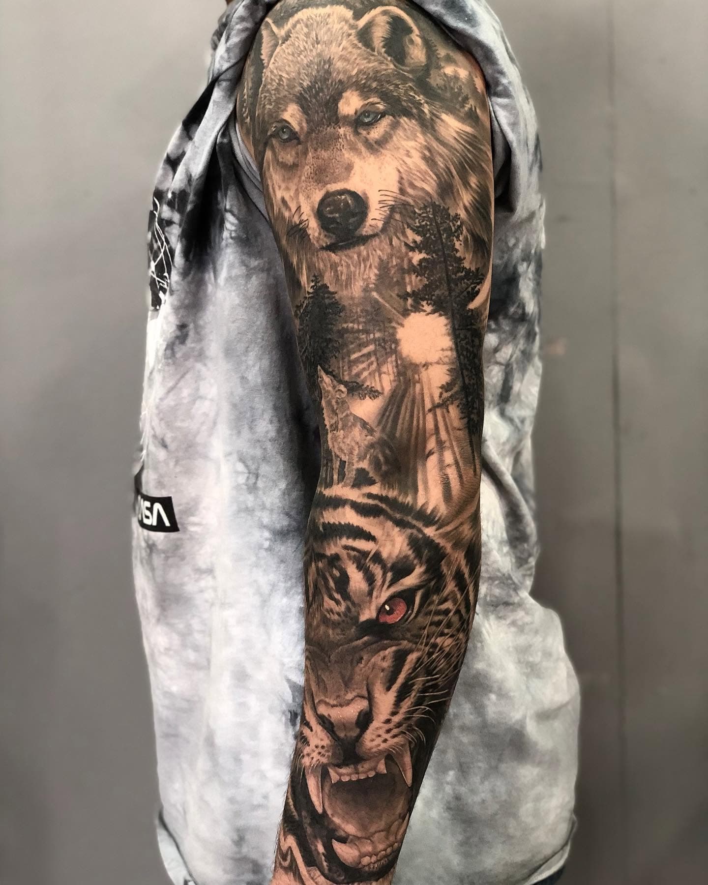 wolf and lion